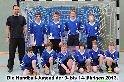 Handball Herren 2013